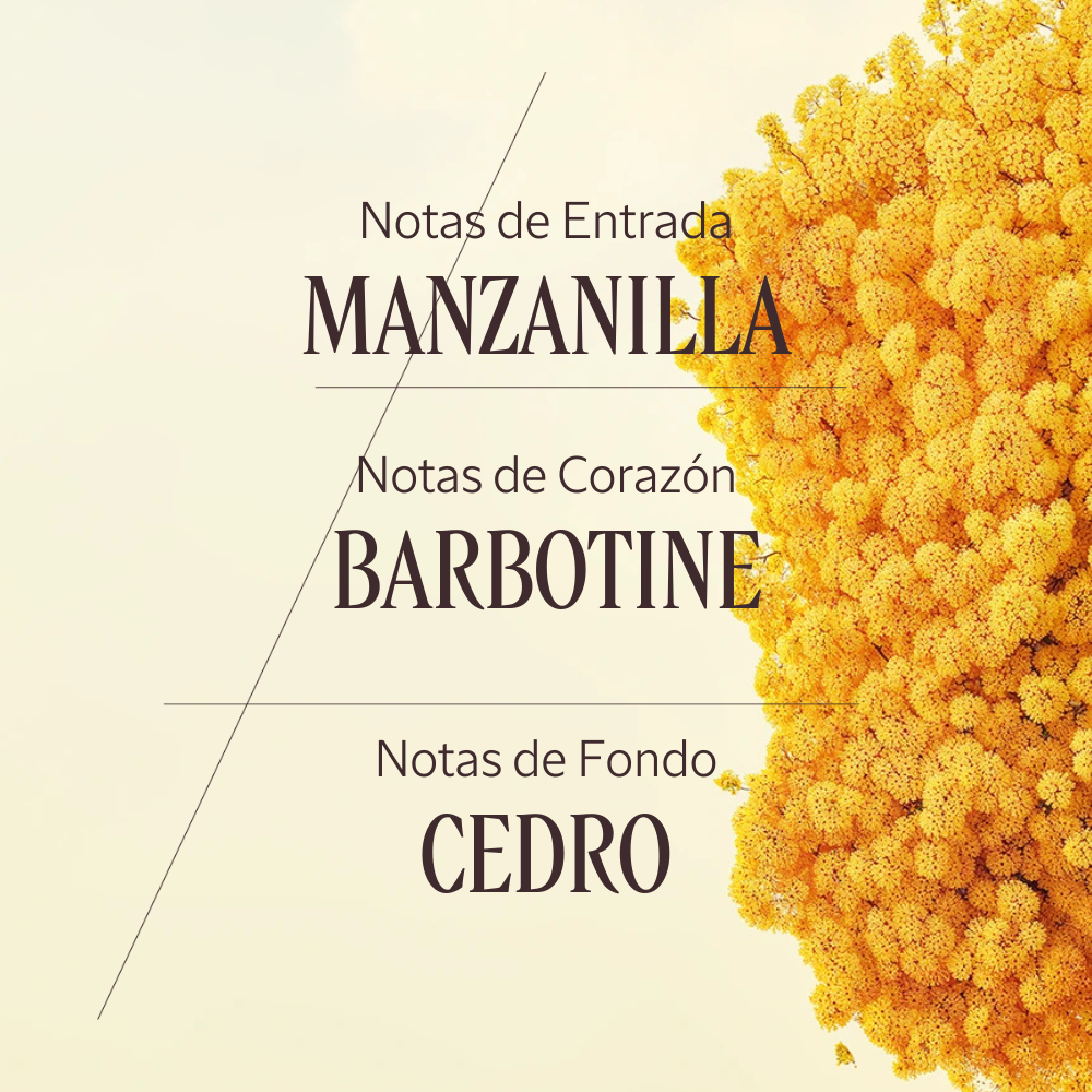 Barbotine eau de parfum