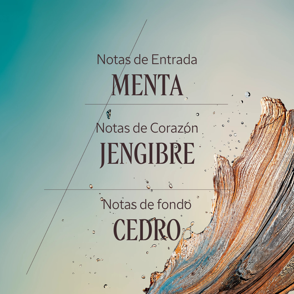 Cèdre Gingembre eau de toilette