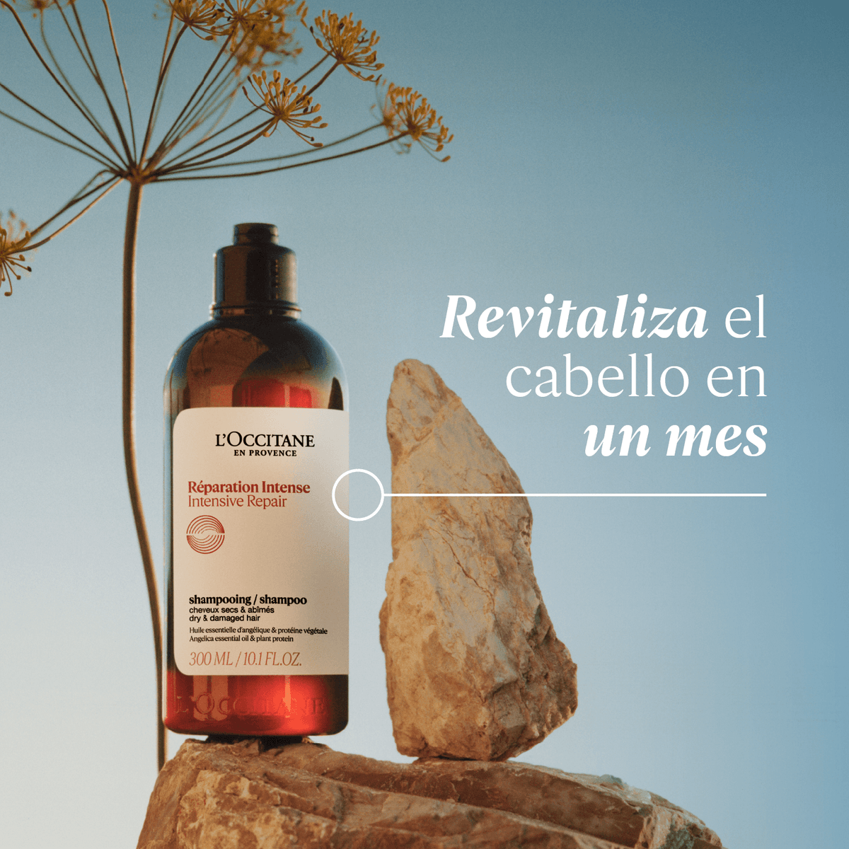 Champú Reparación Intensa 500ml nutre e hidrata el cabello, brillo natural