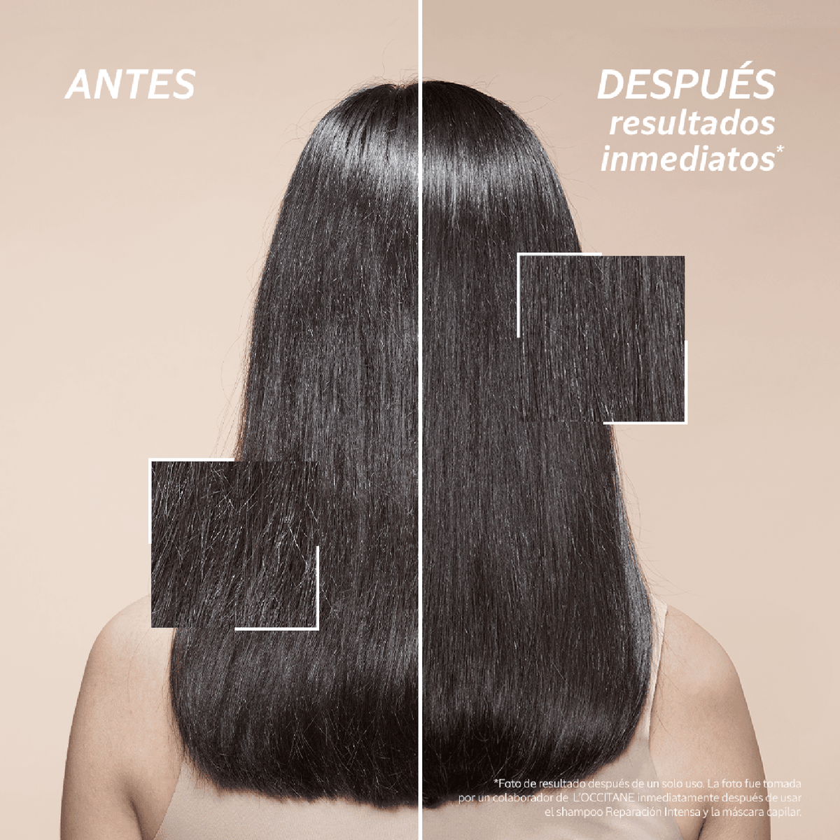 Champú Reparación Intensa 500ml nutre e hidrata el cabello, brillo natural