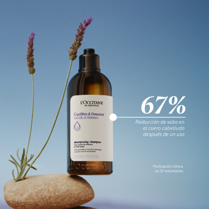Ecorrecarga Champú Equilibrio & Suavidad Aromacología 500ml