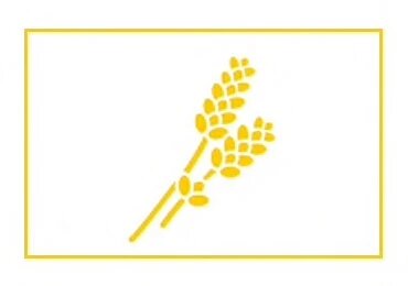 Origen de la verbena