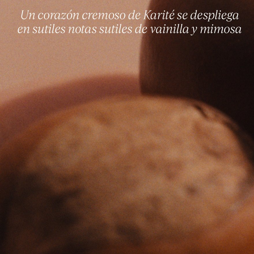 Recarga Espuma Manos y Cuerpo Ultra Rica Karité