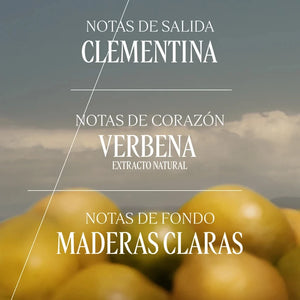 Verbena Eau de Toilette