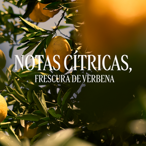 Recarga Gel de Ducha Citrus Verbena