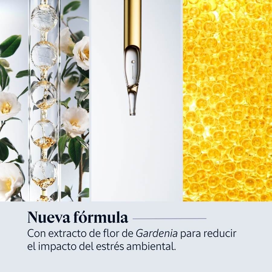 Sérum Reset Immortelle 50ml Normal BLOC03643 