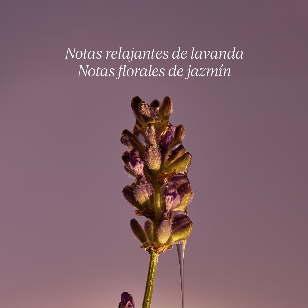 Jabón Líquido de Manos y Cuerpo Lavanda