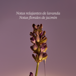 Jabón Líquido de Manos y Cuerpo Lavanda