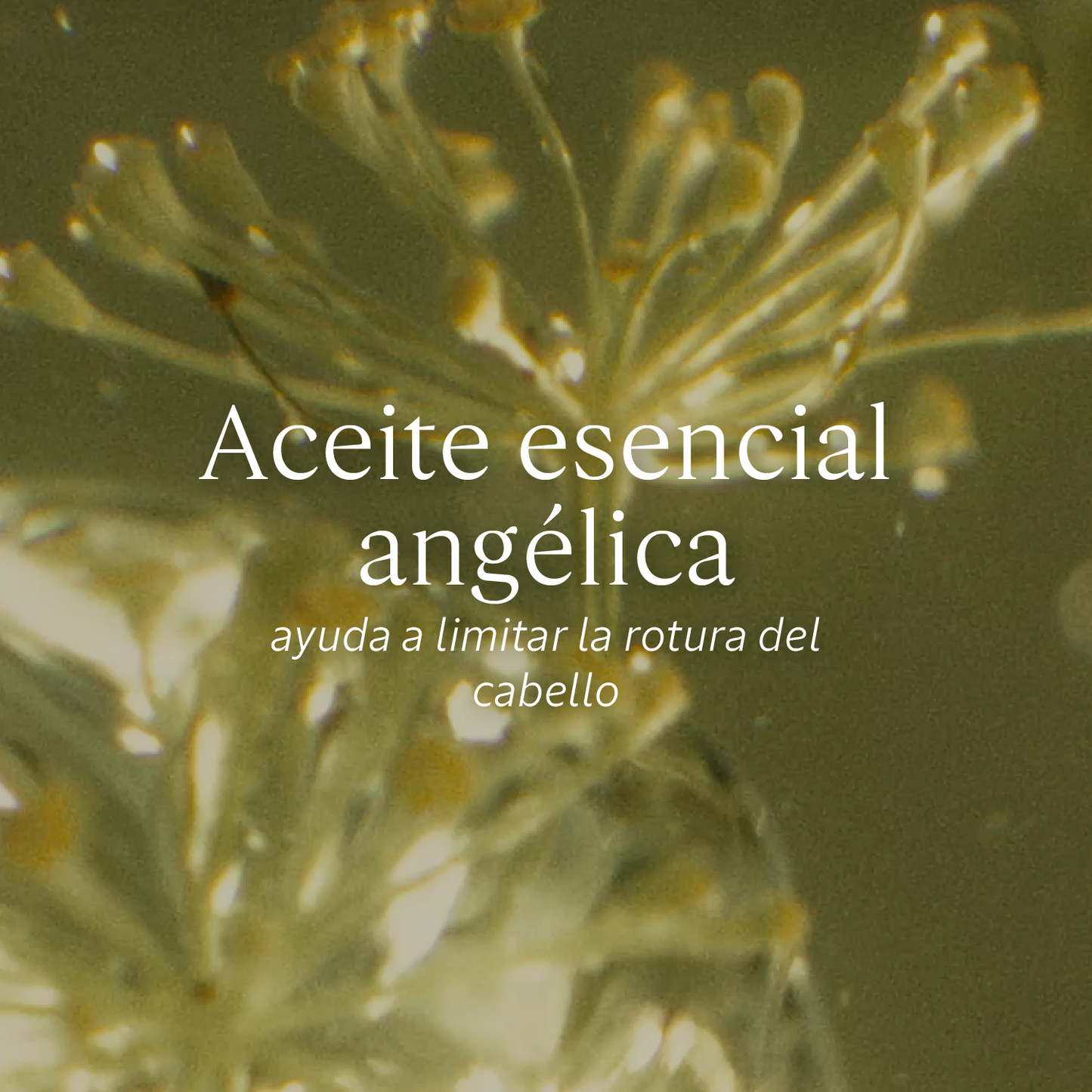 Aceite Infusionado Enriquecido Reparación Intensa 100ml