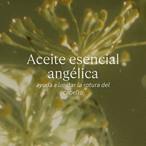 Aceite Infusionado Enriquecido Reparación Intensa 100ml