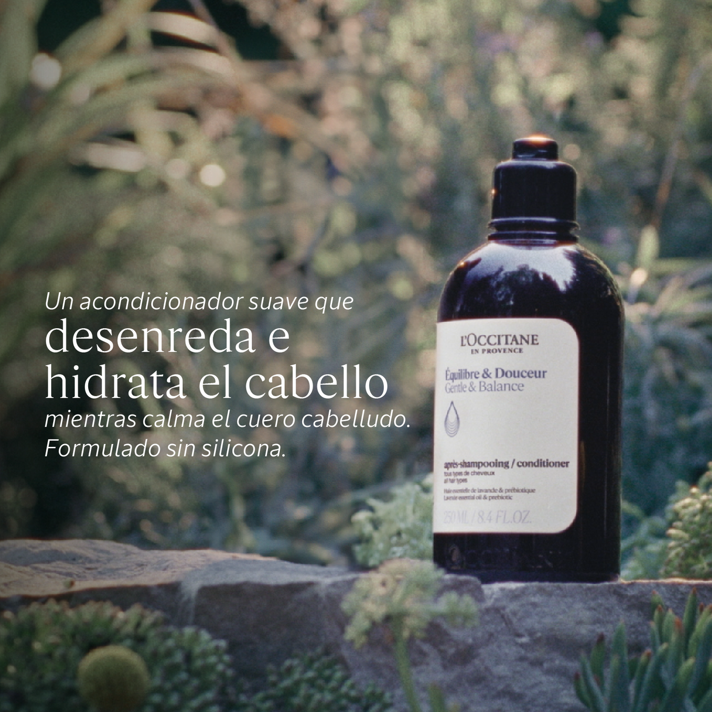 Ecorrecarga Acondicionador Equilibrio & Suavidad Aromacología 500ml
