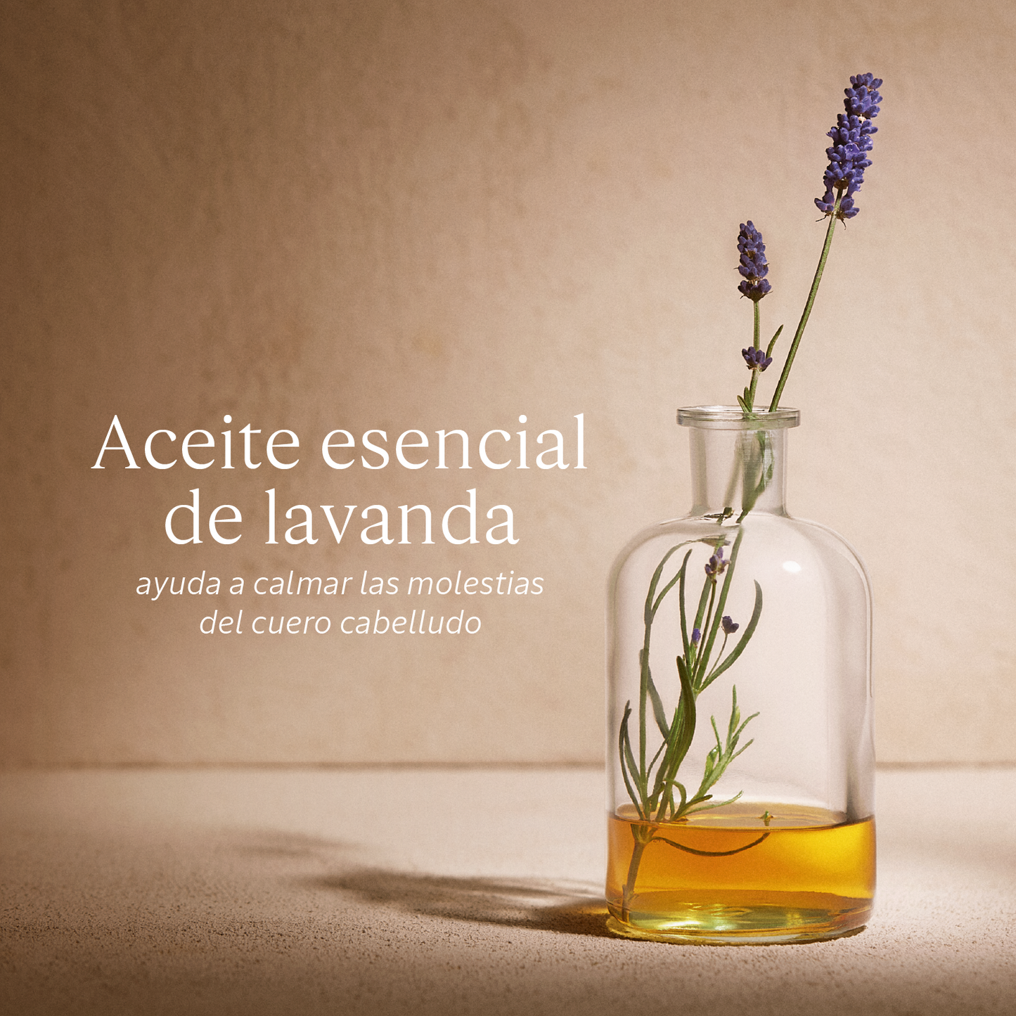 Ecorrecarga Acondicionador Equilibrio & Suavidad Aromacología 500ml