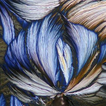 Featured Ingredient - L'Occitane