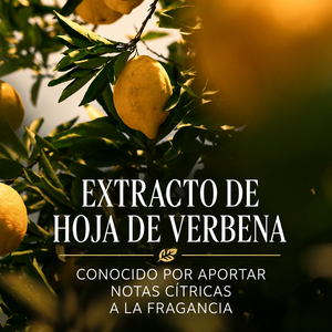 Recarga Desodorante Stick Citrus Verbena