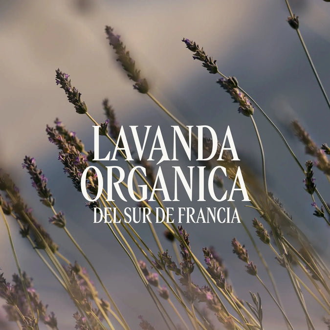 Crema de Manos Lavande