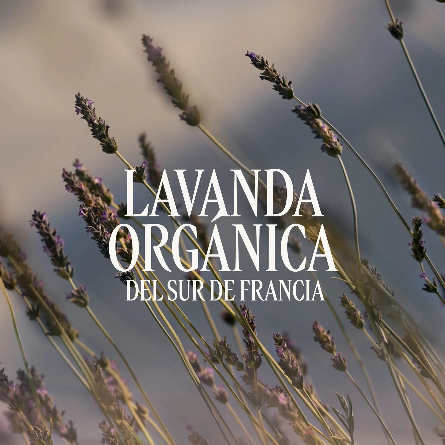 Crema de Manos Lavande