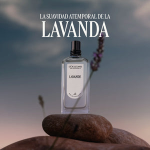 Lavende Eau de Toilette