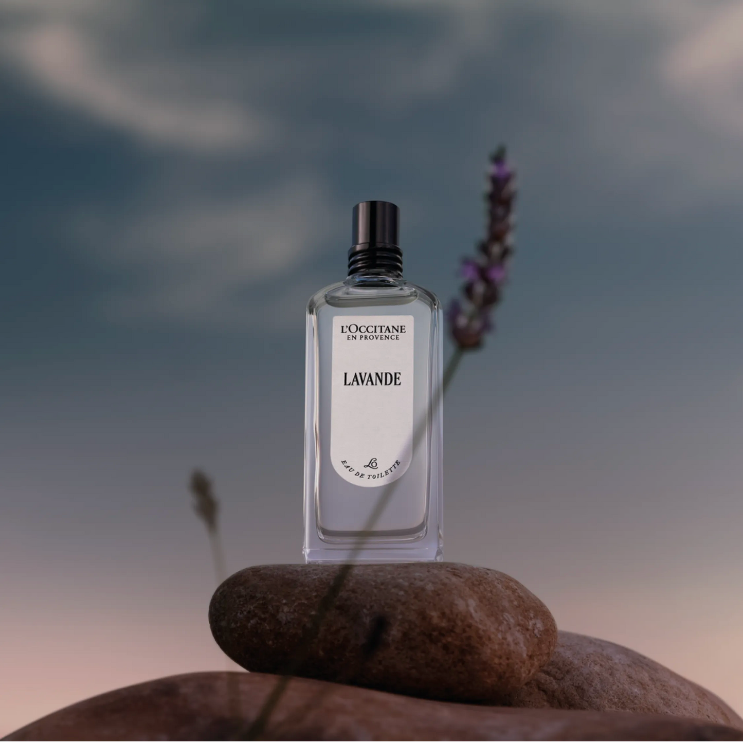 Lavende Eau de Toilette
