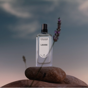 Lavende Eau de Toilette