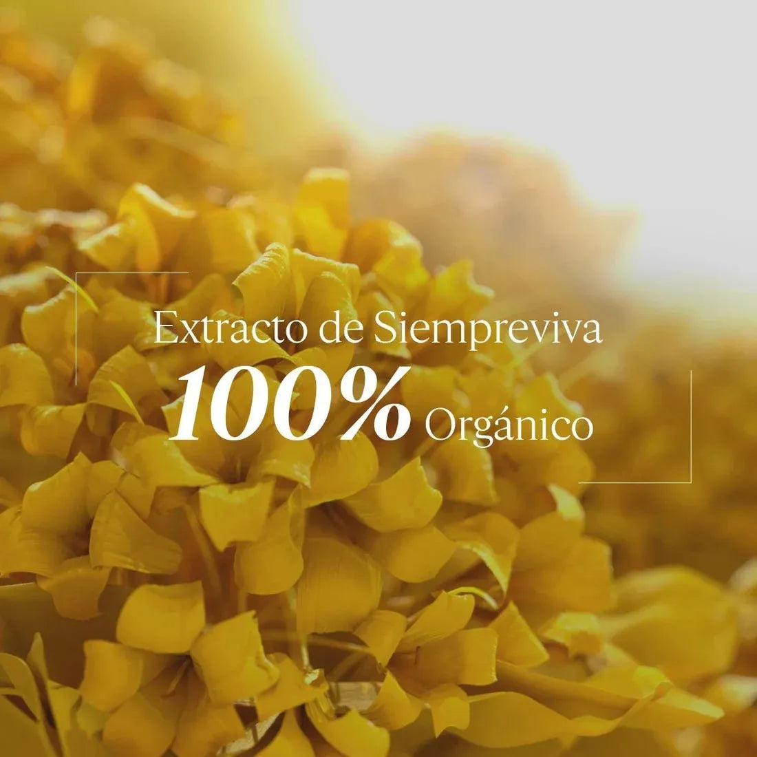 crema hidratante facial divina, reafirma y brinda un brillo juvenil, tratamiento antiedad arrgas y lineas de expresión