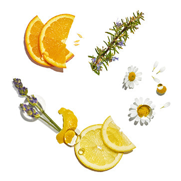 Featured Ingredient - L'Occitane