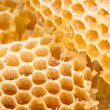Featured Ingredient - L'Occitane