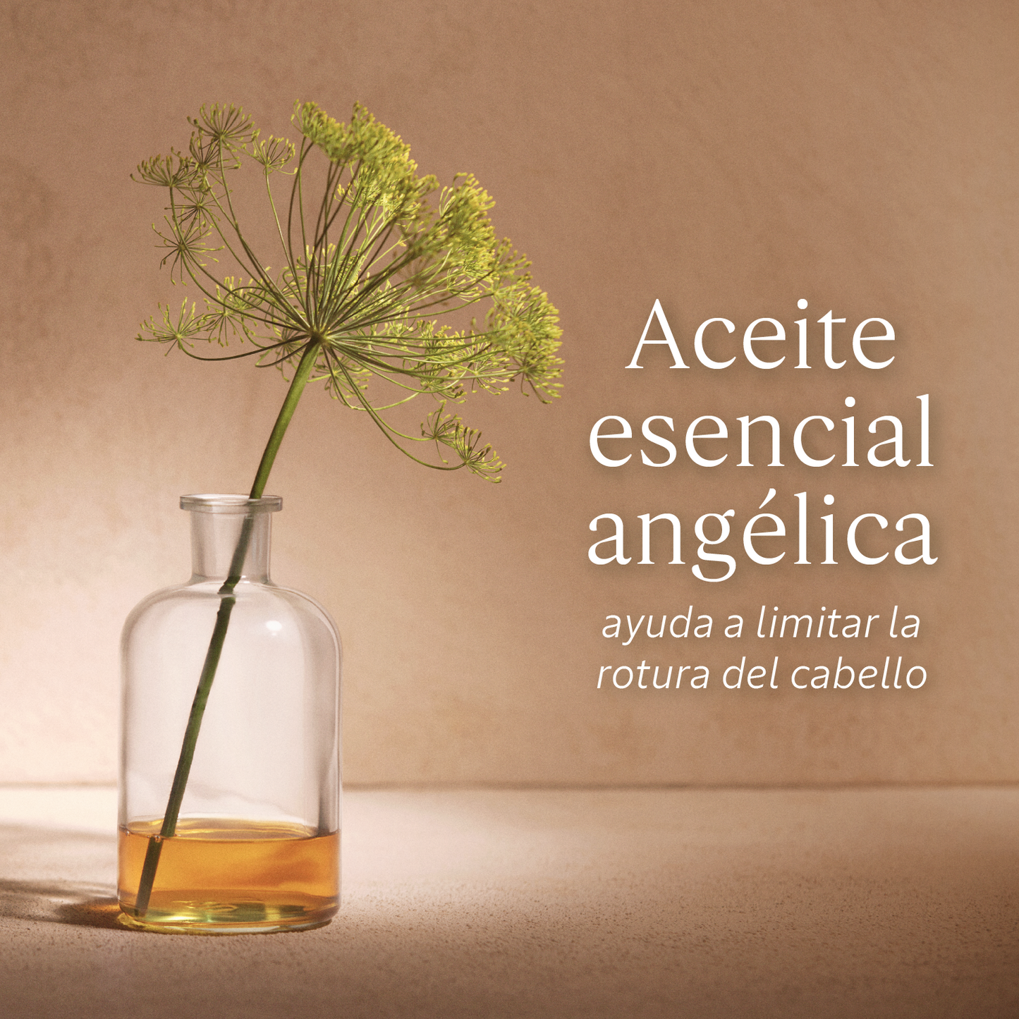 Ecorrecarga Champú Reparación Intensa 500ml