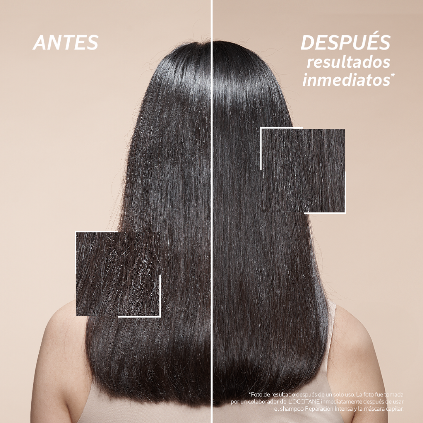 Ecorrecarga Champú Reparación Intensa 500ml