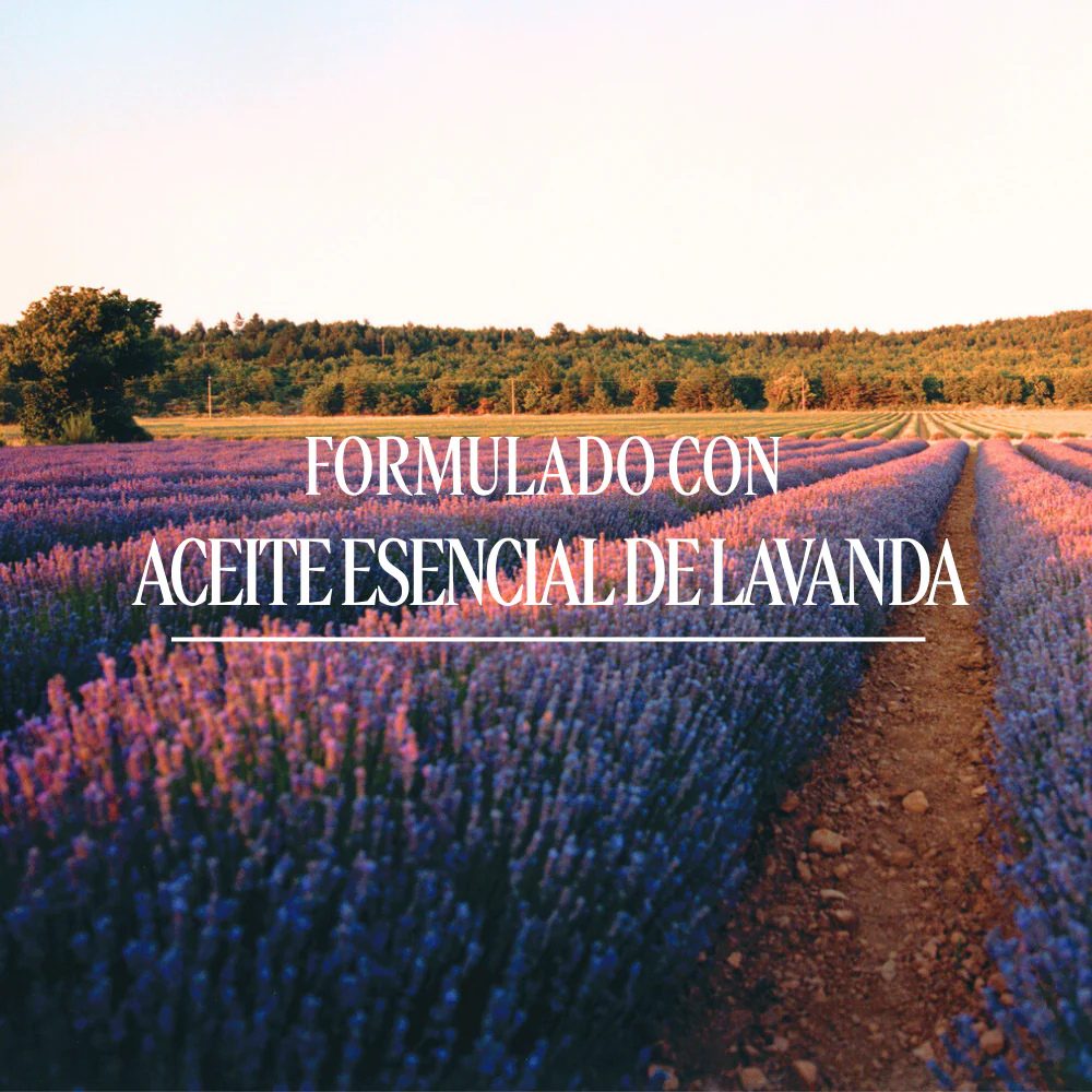 Jabón Extra Suave Karité Lavanda