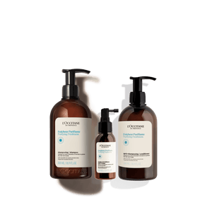 Kit Purificación & Brillo