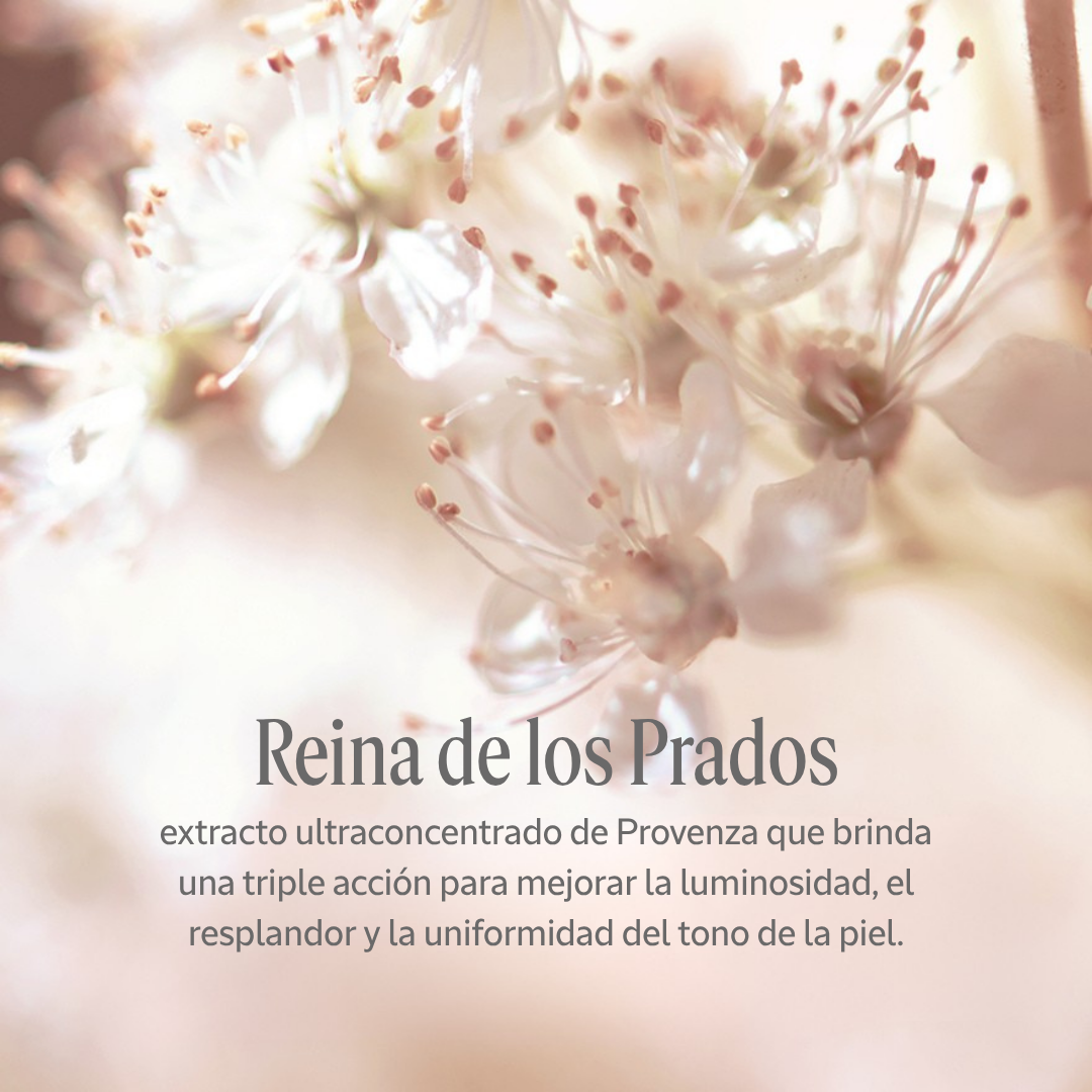Loción Iluminadora Reine Blanche