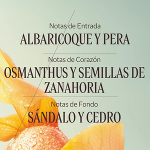 Osmanthus Abricot eau de toilette