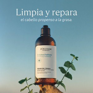 Ecorrecargade Champú Frescura Revitalizante Aromacología 500ml