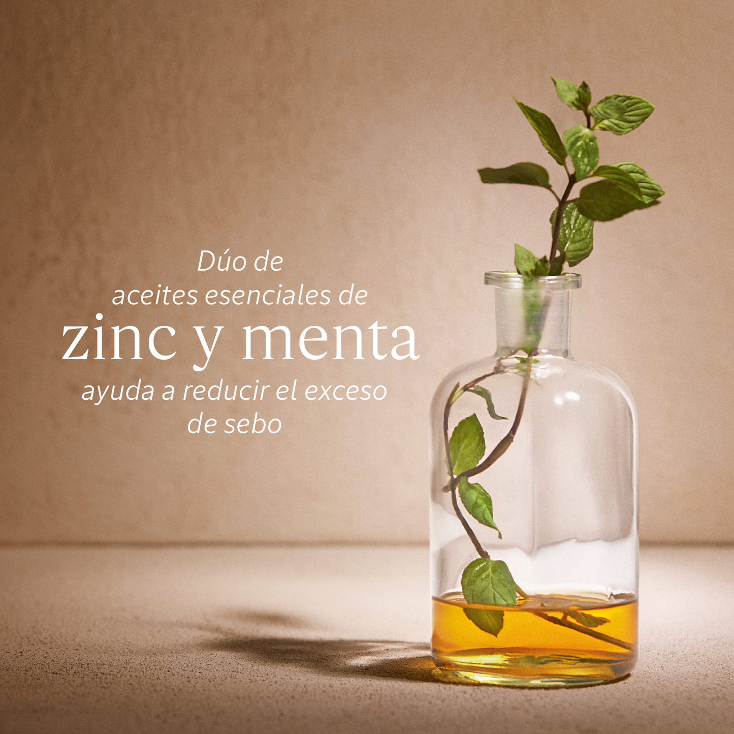 Ecorrecargade Champú Frescura Revitalizante Aromacología 500ml