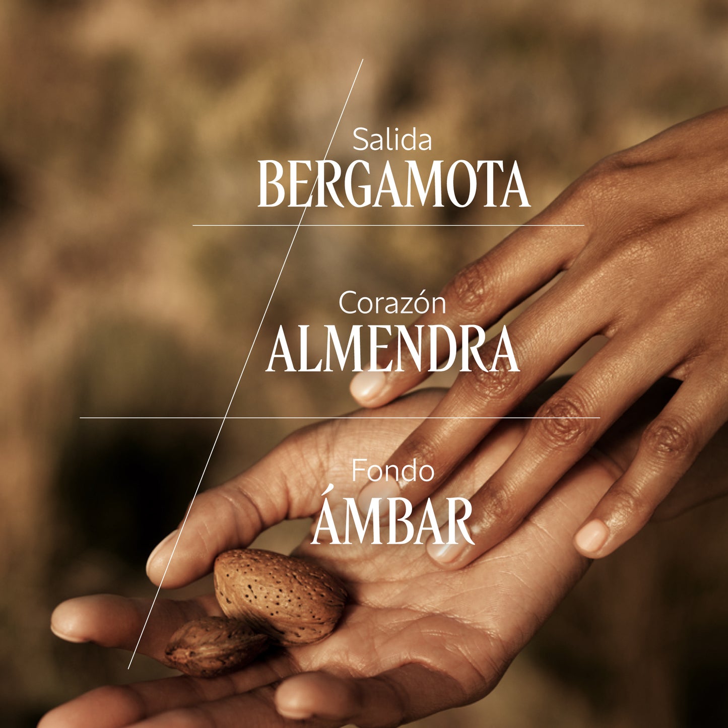 Velo de Leche Almendra