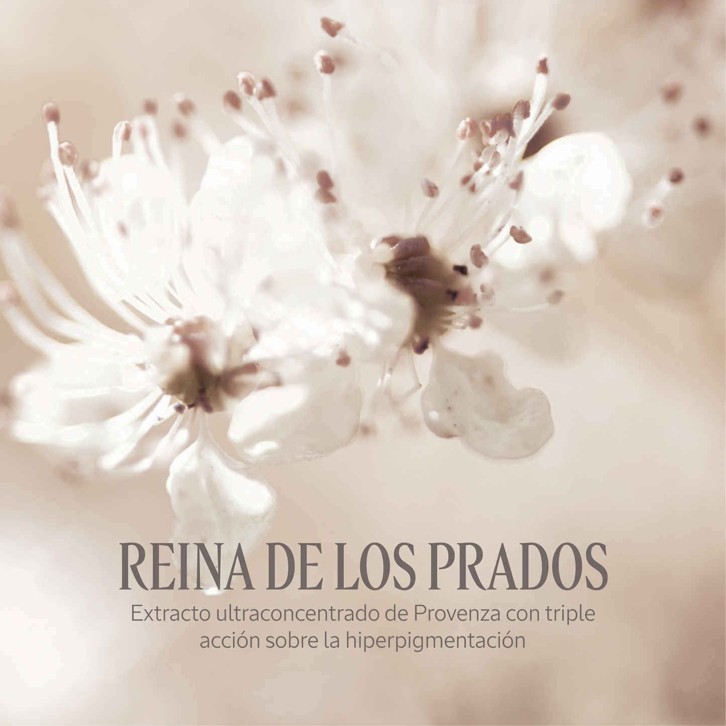 Sérum Iluminadora Reina de los Prados 30ml