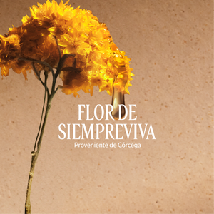 Crema Preciosa Immortelle