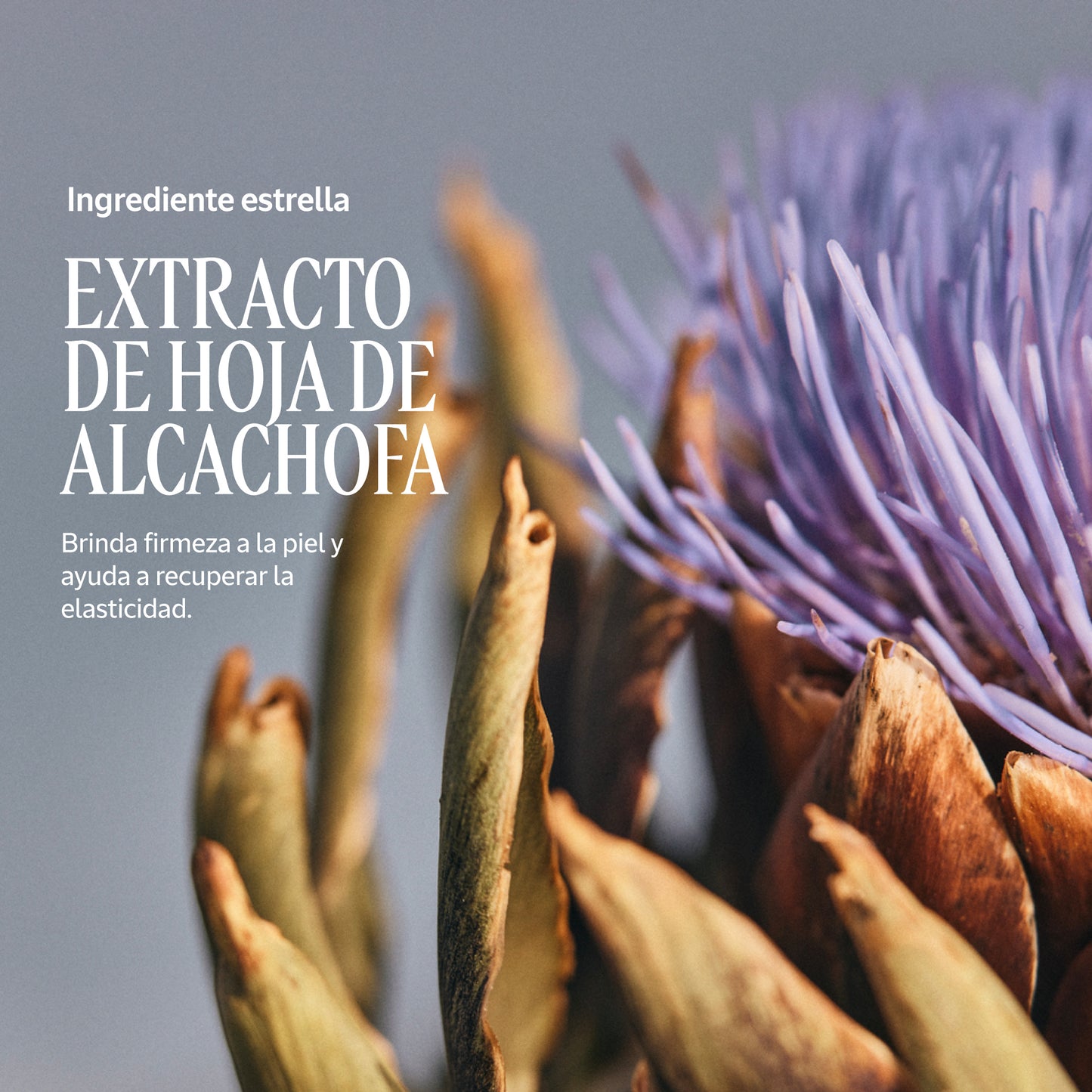 Exfoliante Corporal Alcachofa