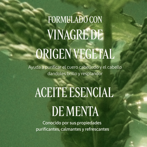 Frescura Purificante Brillo de Vinagre