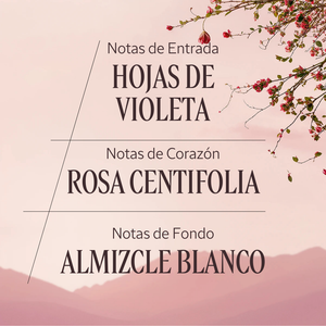 Rose eau de toilette