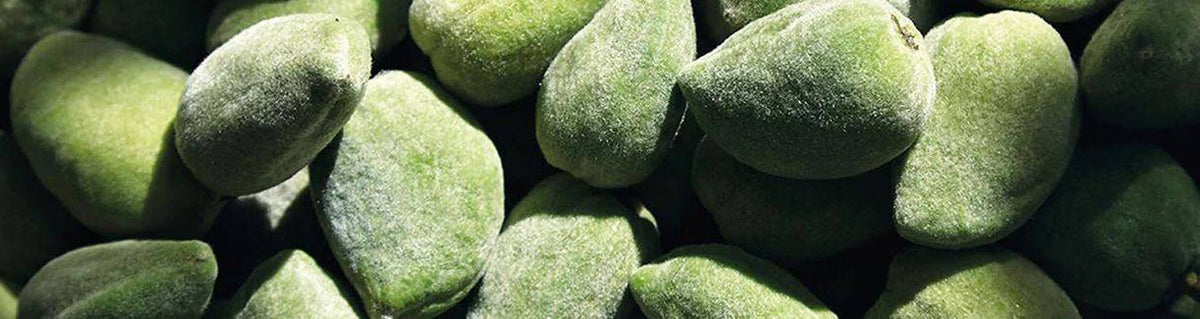 aceite de almendras