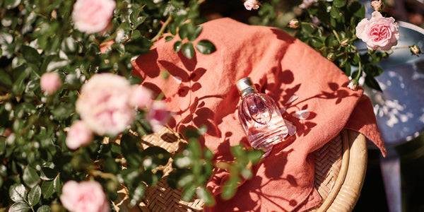 perfumes de mujer