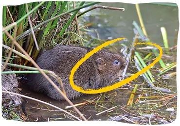 biodiversidad