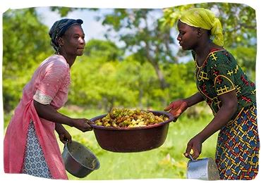 loccitane burkina faso