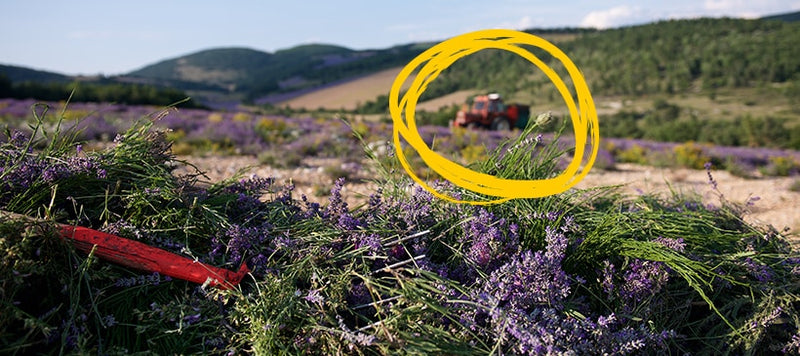 conservacion del ambiente