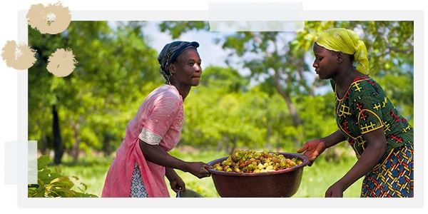 equidad en loccitane