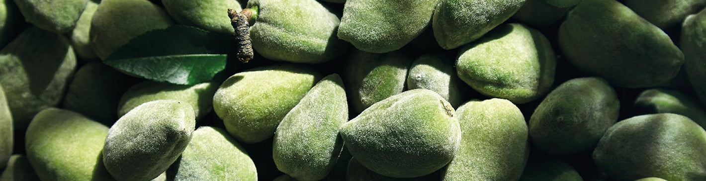 aceite de almendra
