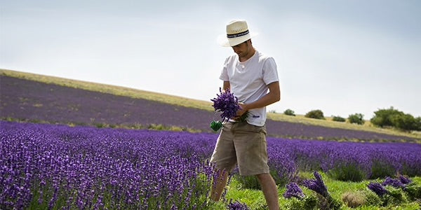 compromisos loccitane