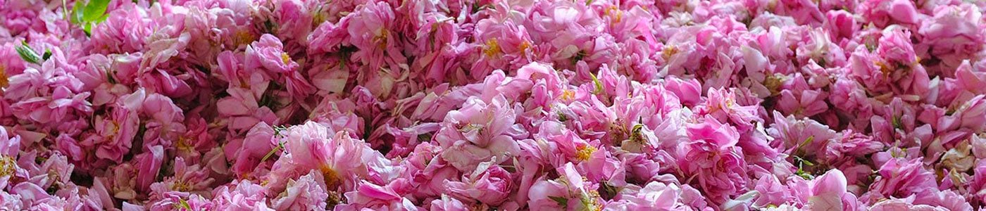 agua de rosas