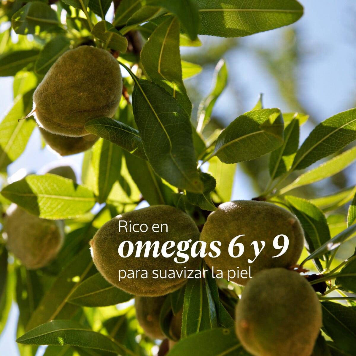 Aceite de ducha de Almendra